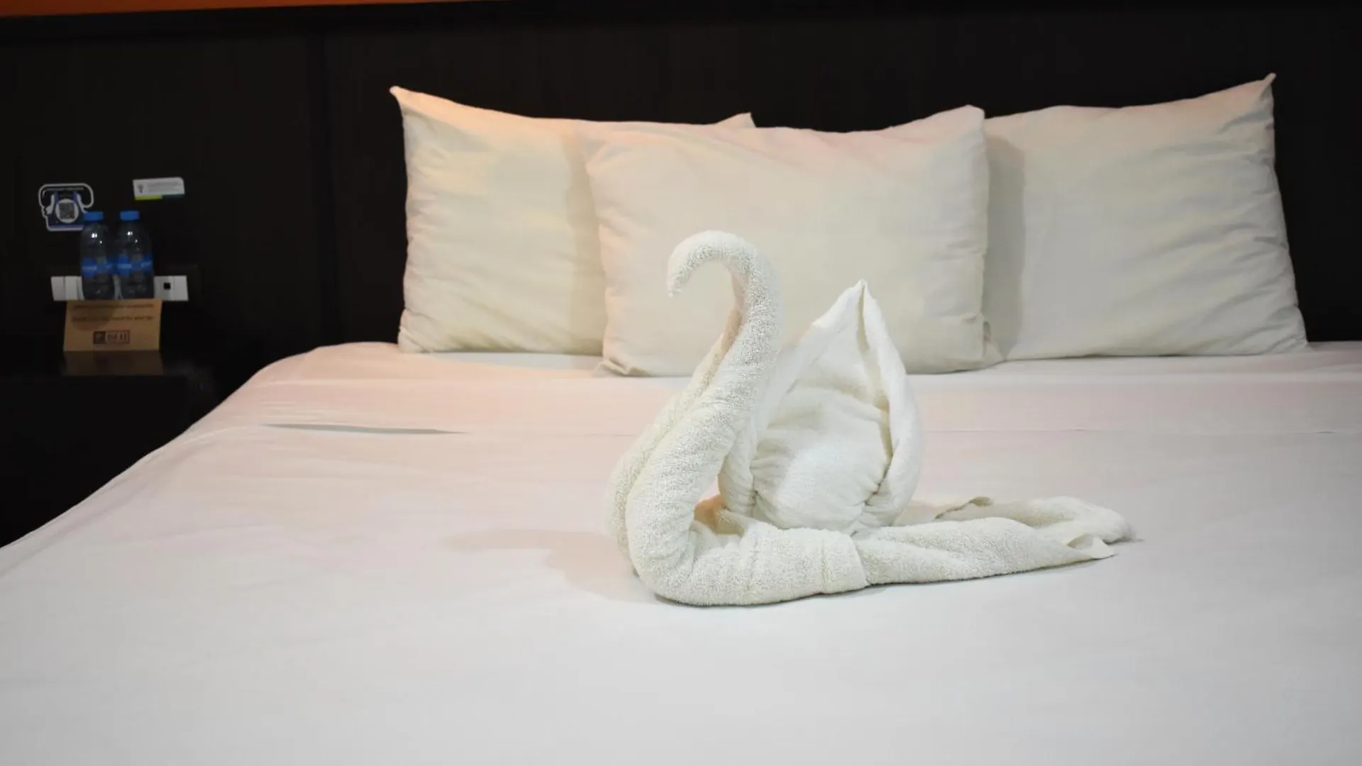 Hotel Illusion Boutique 